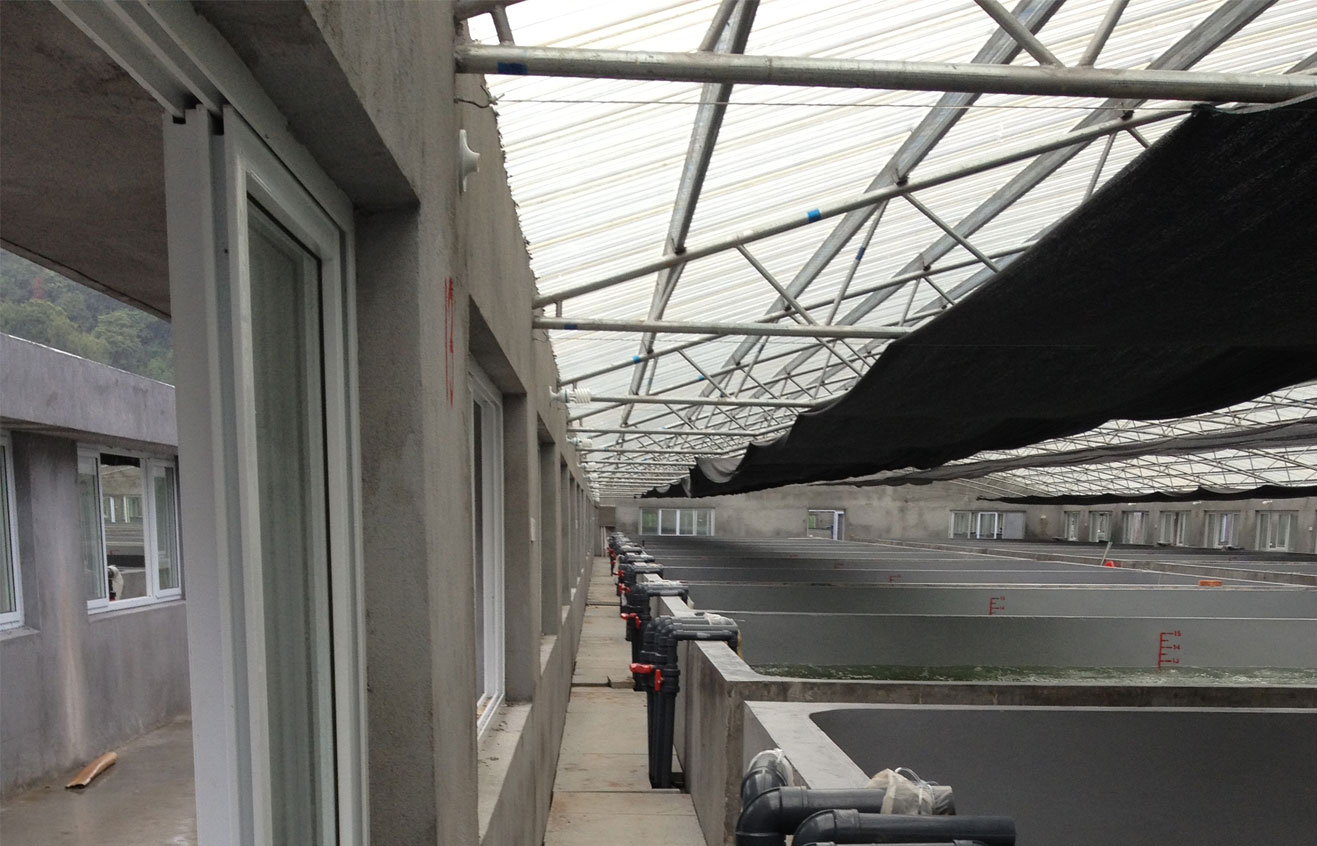 三門(mén)綠雄苗場(chǎng)PVC管道建設(shè)工程